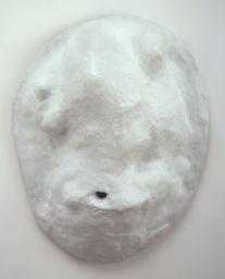 Amoeba