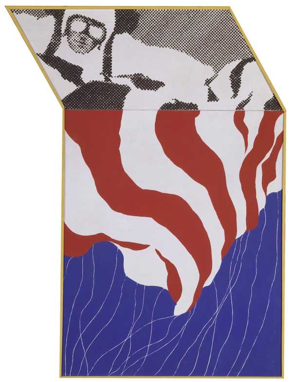 Skydiver VI
