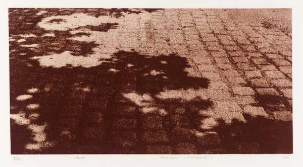 Stevens Path ‘Path‘, Norman Stevens, 1974 | Tate