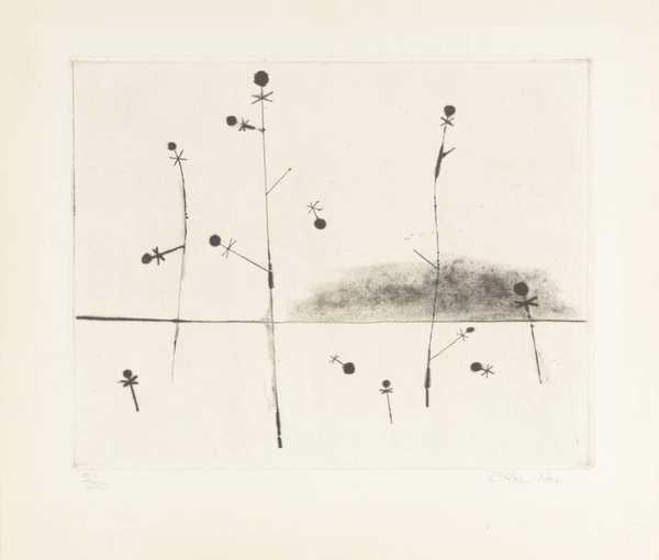 Microcosmos: plant cycle