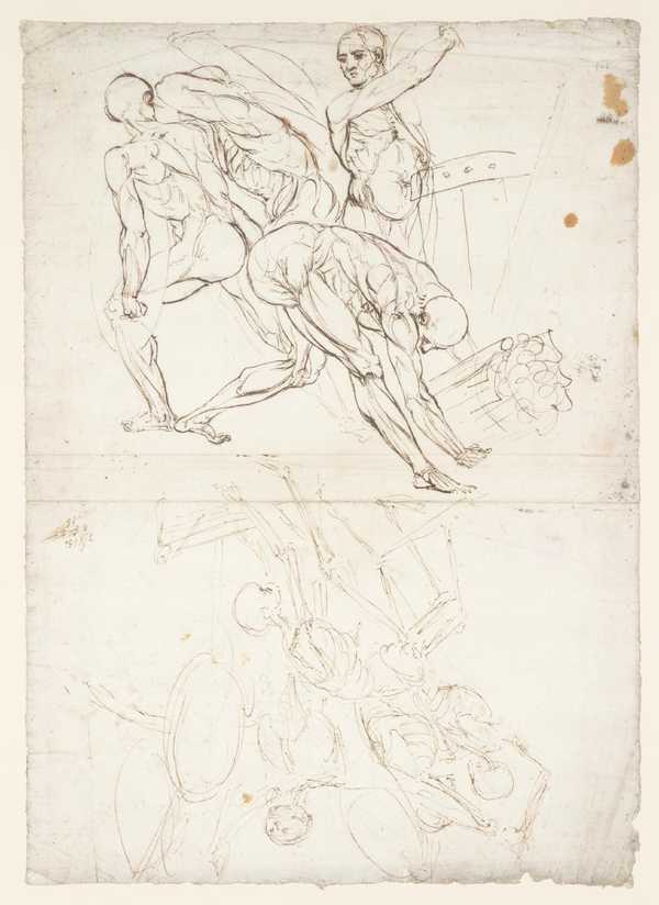 Skeletons and Ecorchés