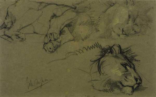 Head of a Lion and Lion Lying Down
