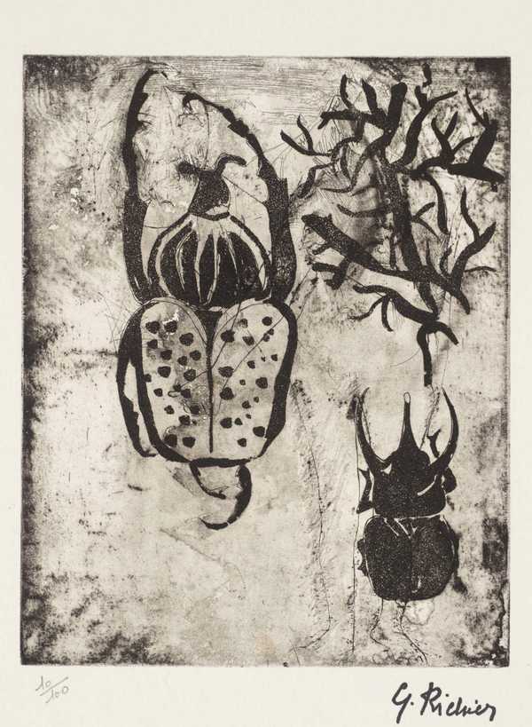 Beetles