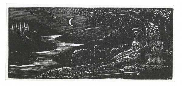 Colinet Rests by a Stream at Night
