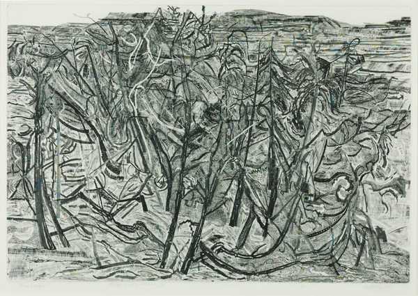 Landscape with Juniper