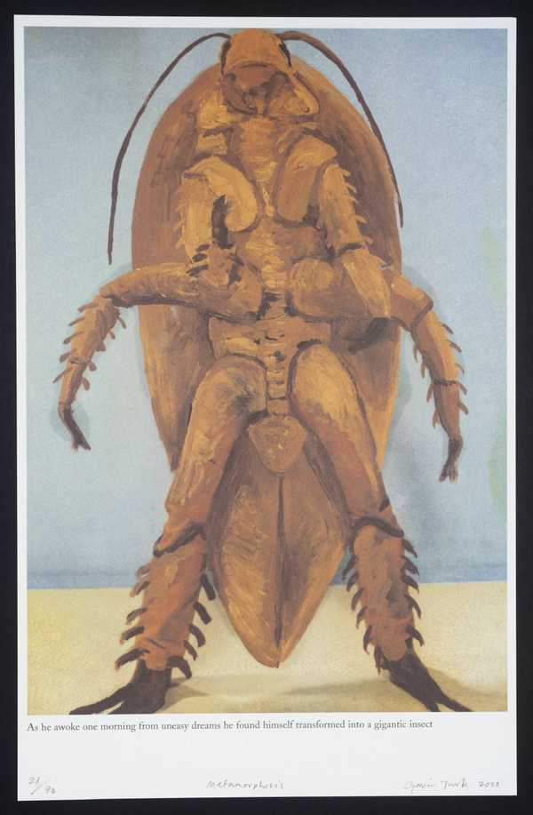 Metamorphosis