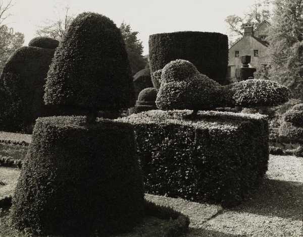 ‘Levens Hall, Northumberland‘, Edwin Smith, c.1950s | Tate