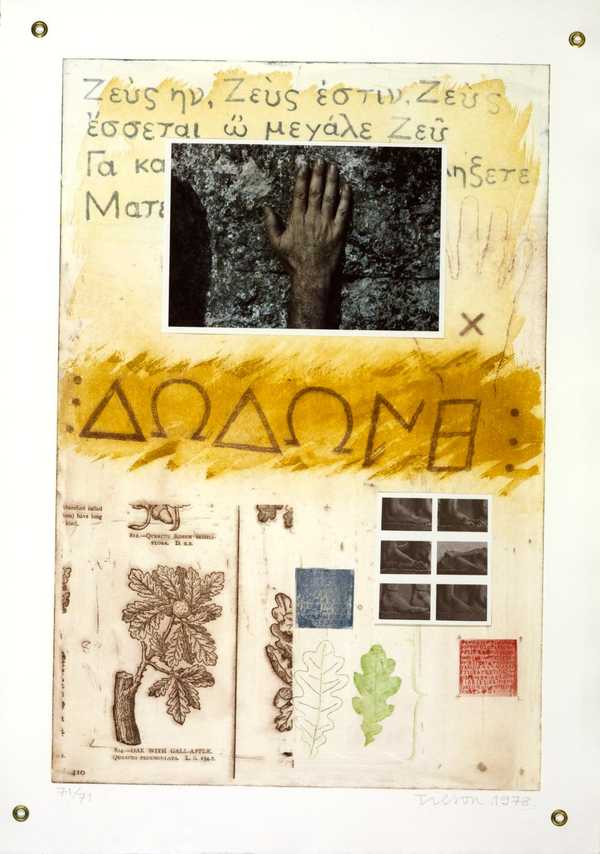 Proscinemi, Dodona, Oracle of Zeus