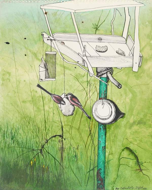 The Bird Table