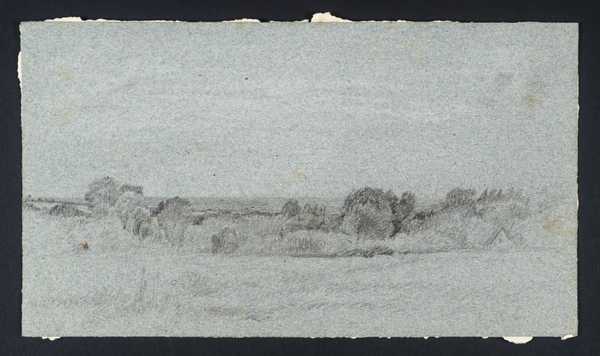 Open Landscape with Trees