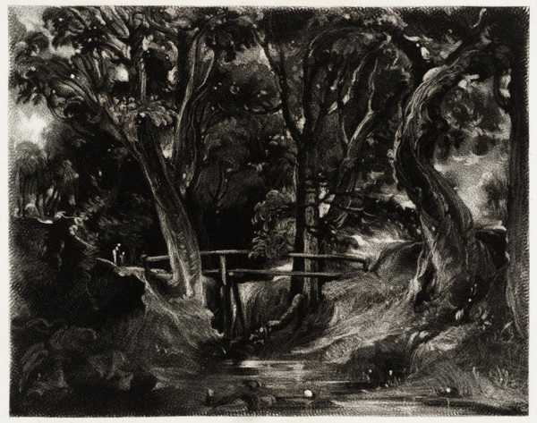A Dell, Helmingham Park, Suffolk