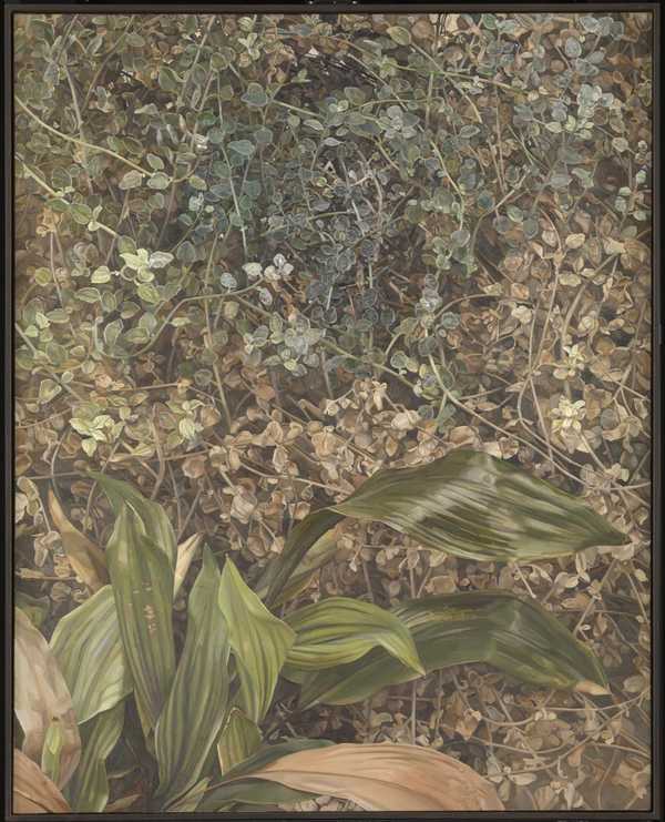 Two Plants
