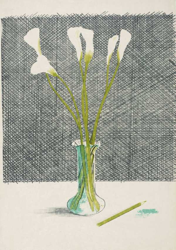 Lillies