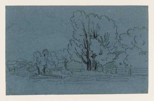 Woodland Scene