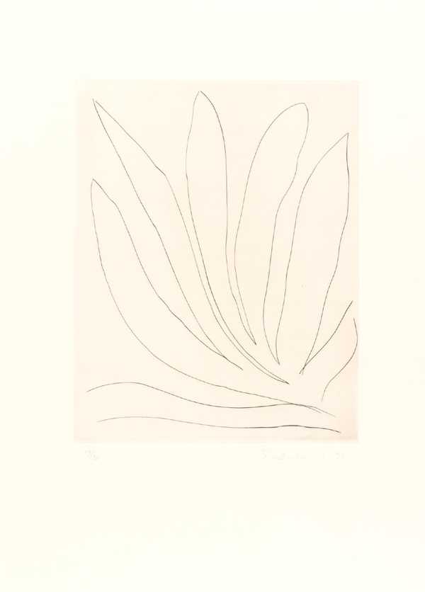 ‘Leaves - Drypoint VII‘, William Turnbull, 1972 | Tate