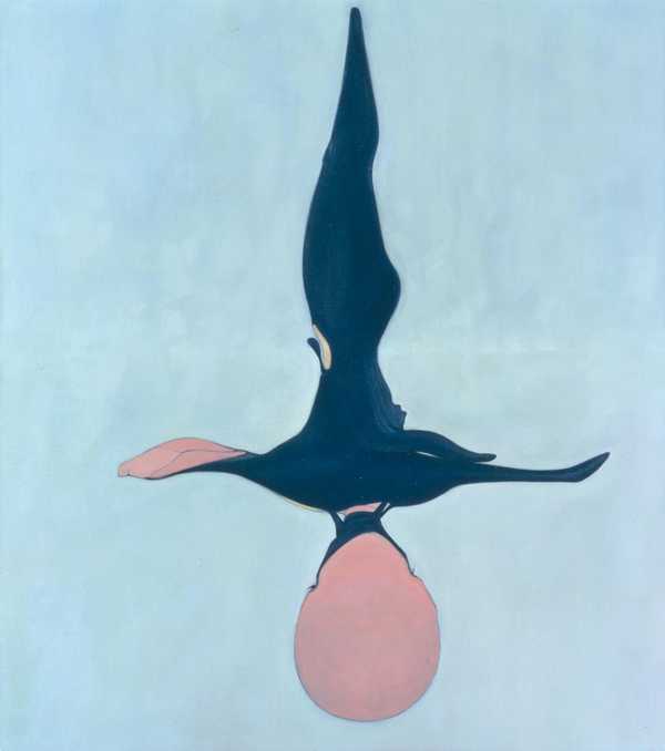 Swimmer