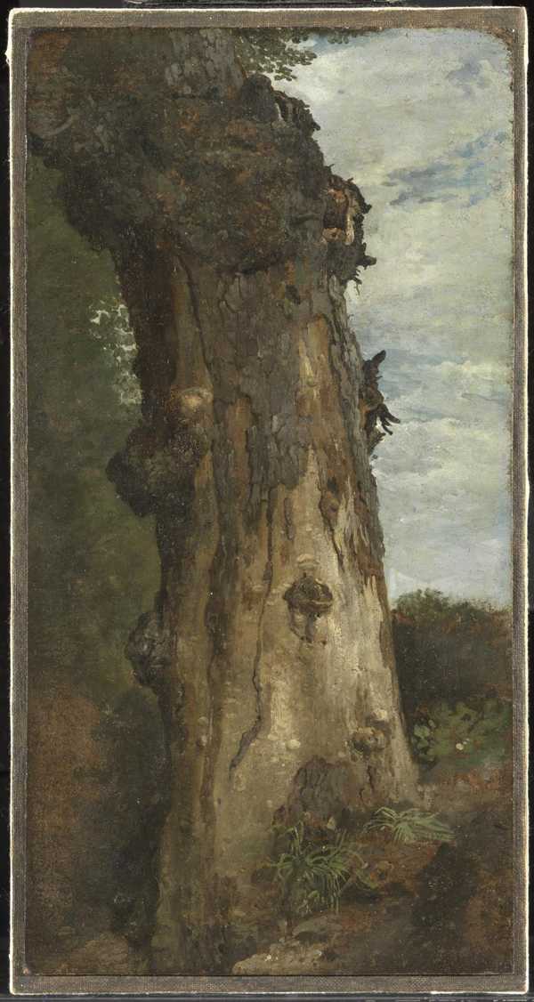 Study of a Tree (‘Study from Nature’)