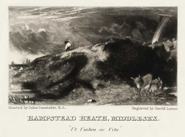 Vignette: Hampstead Heath, Middlesex