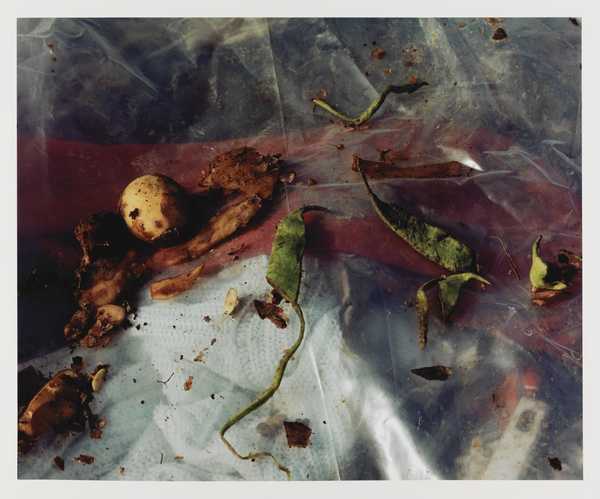 Pictures from a Rubbish Tip
