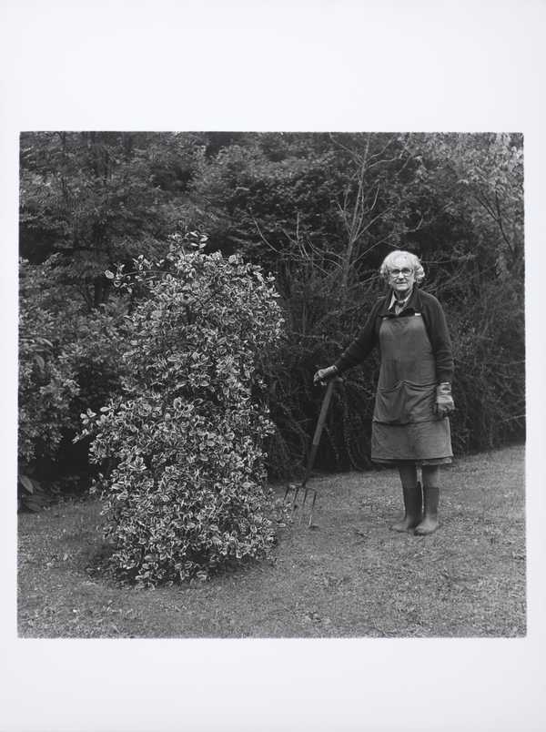 Gardeners