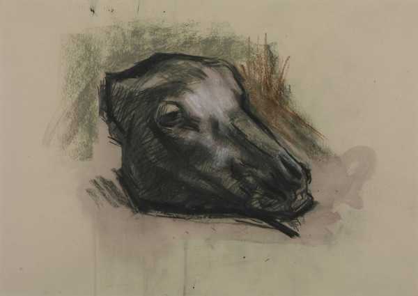 ‘Sheep’s Head‘, Peter Coker, 1955 | Tate