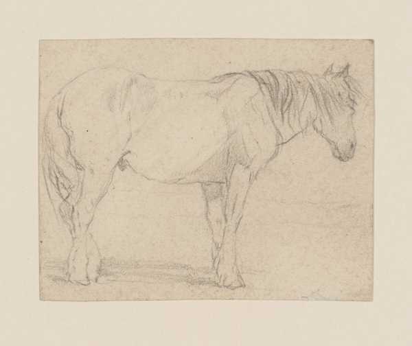 A Farm Horse. Verso: Drawing