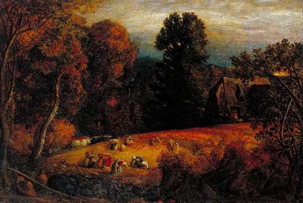 The Gleaning Field