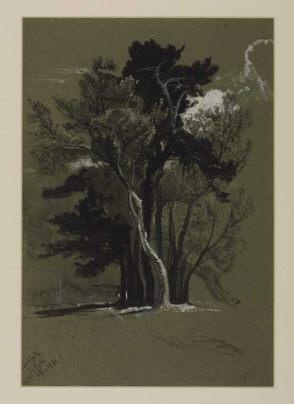 Trees, Suffolk