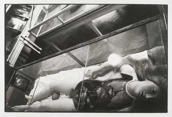 Wax Anatomical Model (Shot Crooked from Above)