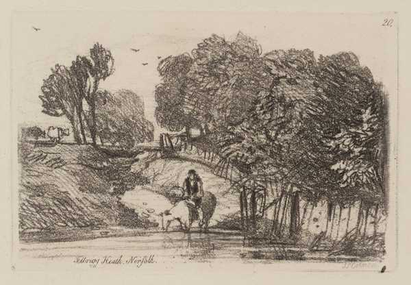 Felbrigg Heath, Norfolk