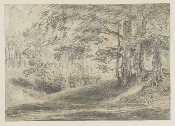 Forest Scene