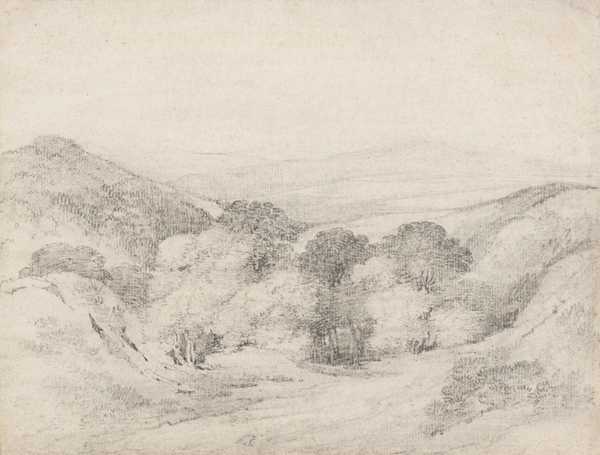 The Downs