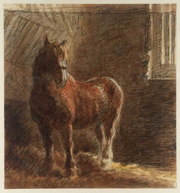 A Horse in a Stable