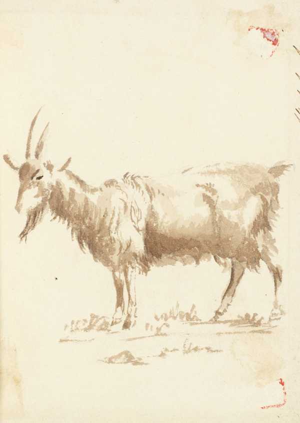 ‘A Goat‘, Unknown artist, Britain | Tate