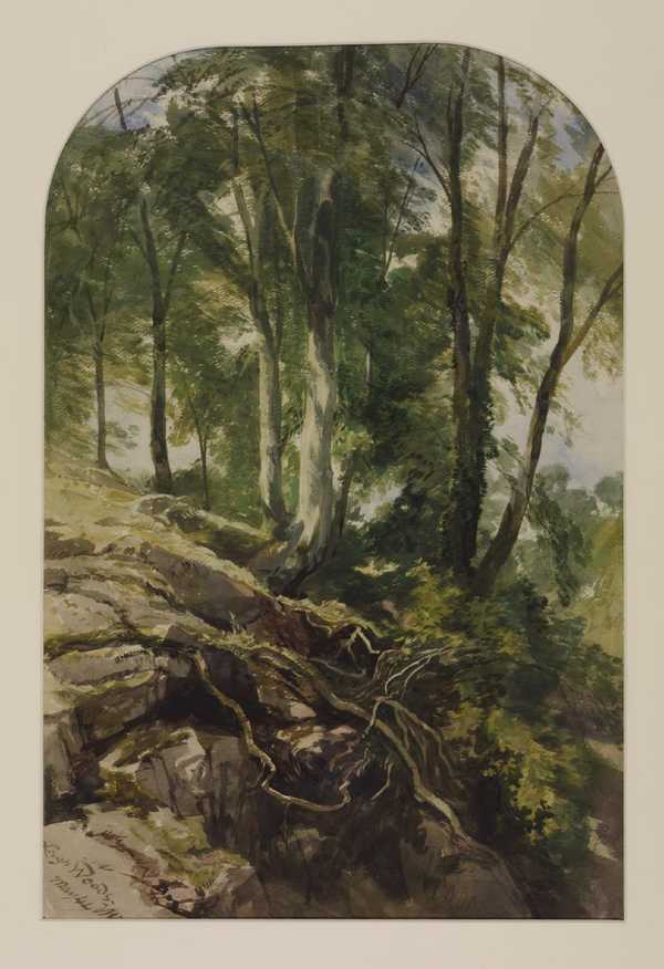Leigh Woods