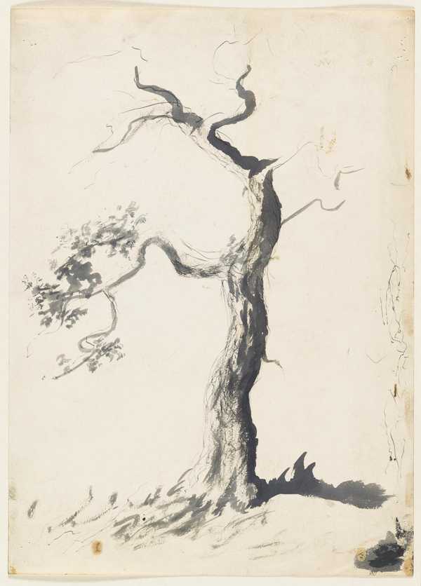 ‘Sketch of a tree.‘, Algernon Newton – Tate Archive | Tate