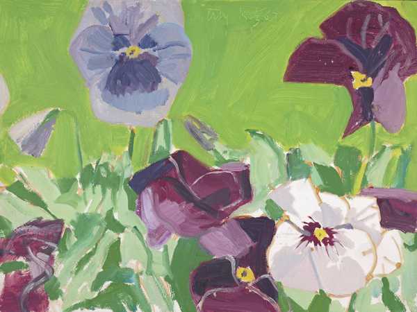 Pansies