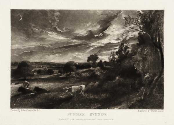 Summer Evening