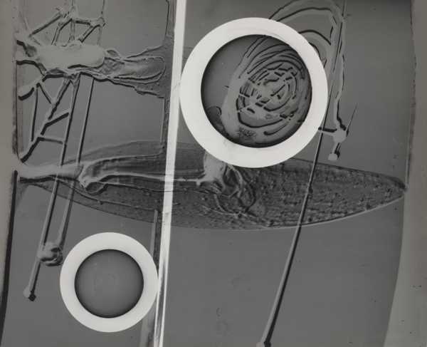 ‘Bas Relief with Circles‘, György Kepes, c.1939–40 | Tate
