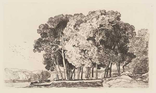 Trees near Twickenham