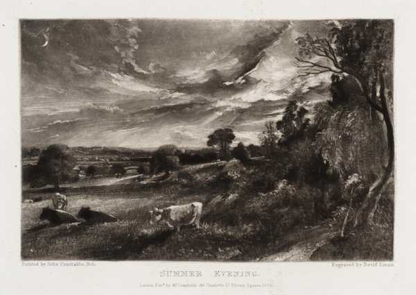 Summer Evening