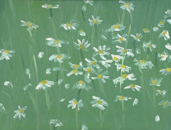 Daisies #2