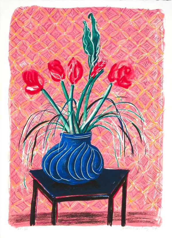 Amaryllis in Vase