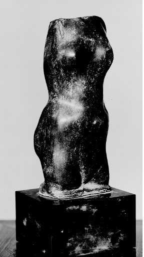 Torso of a Woman