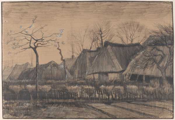 Thatched Roofs