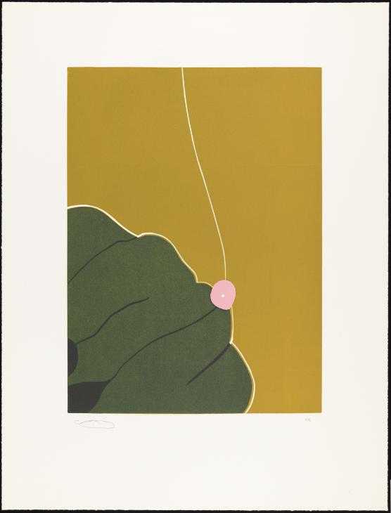 Untitled 01