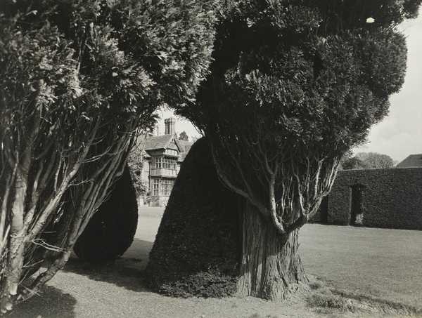 Edwin Smith 19121971 Tate