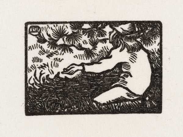 Boy and Pine Tree