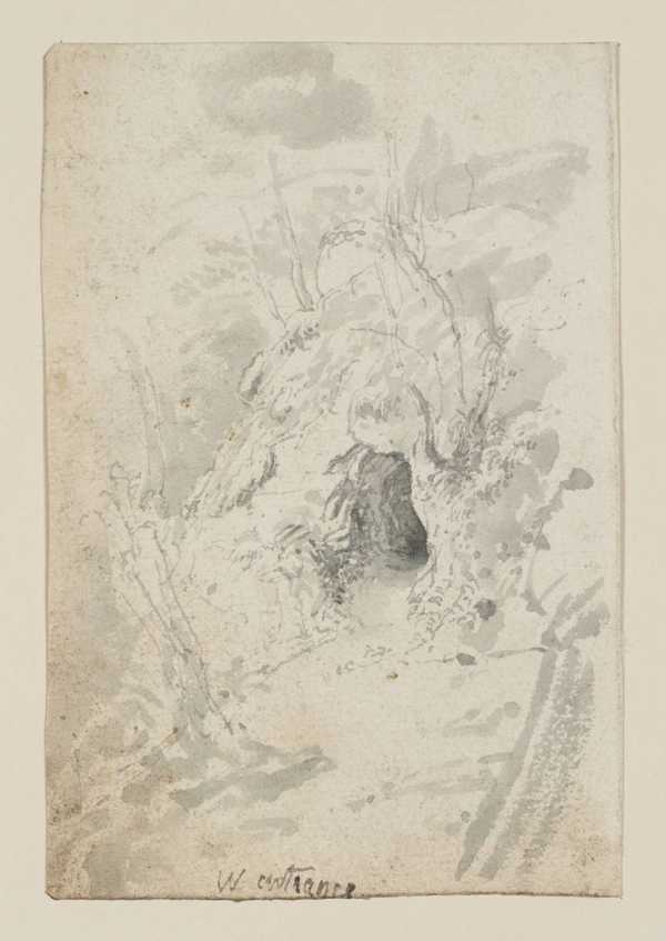 A Cave Surrounded by Trees