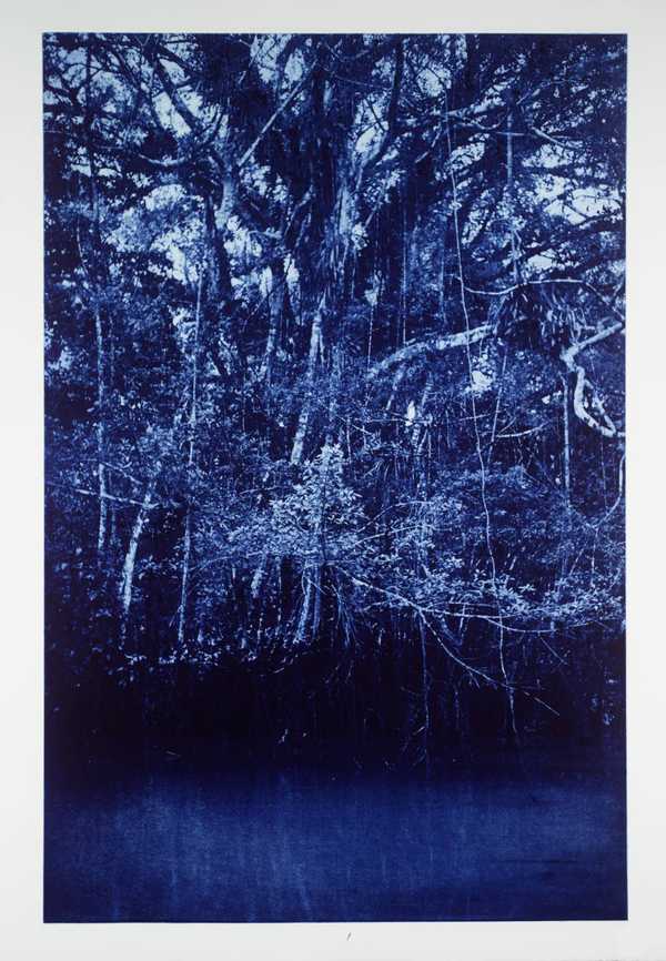 Amazon, Peru, 1988